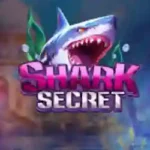 Shark Secret 777 APK